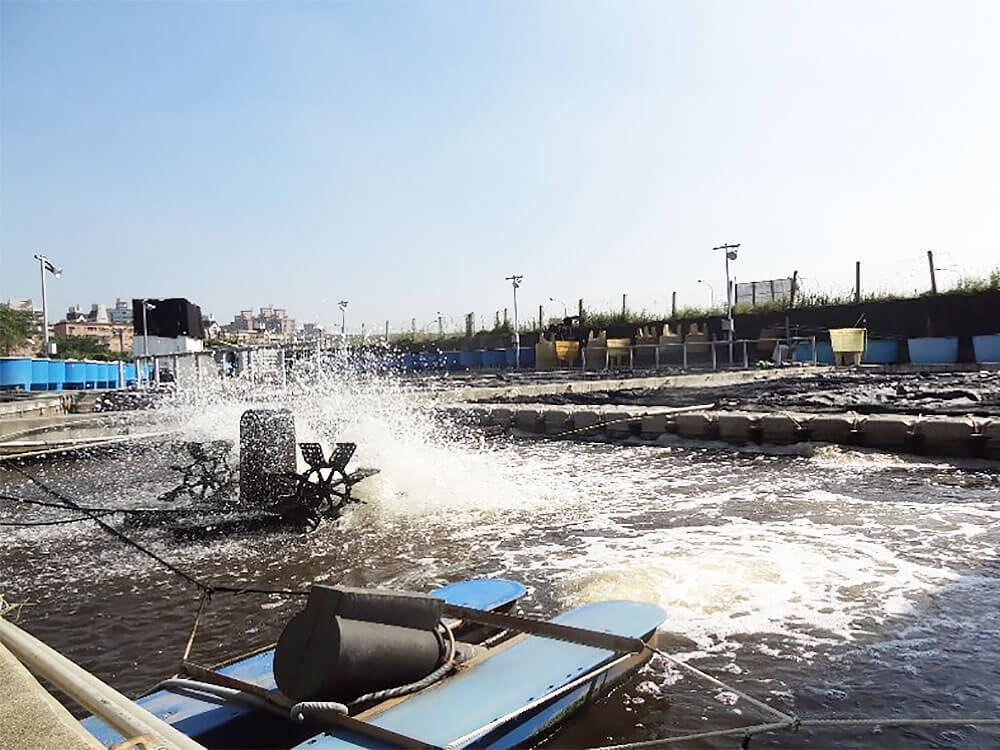 海天樓養殖場