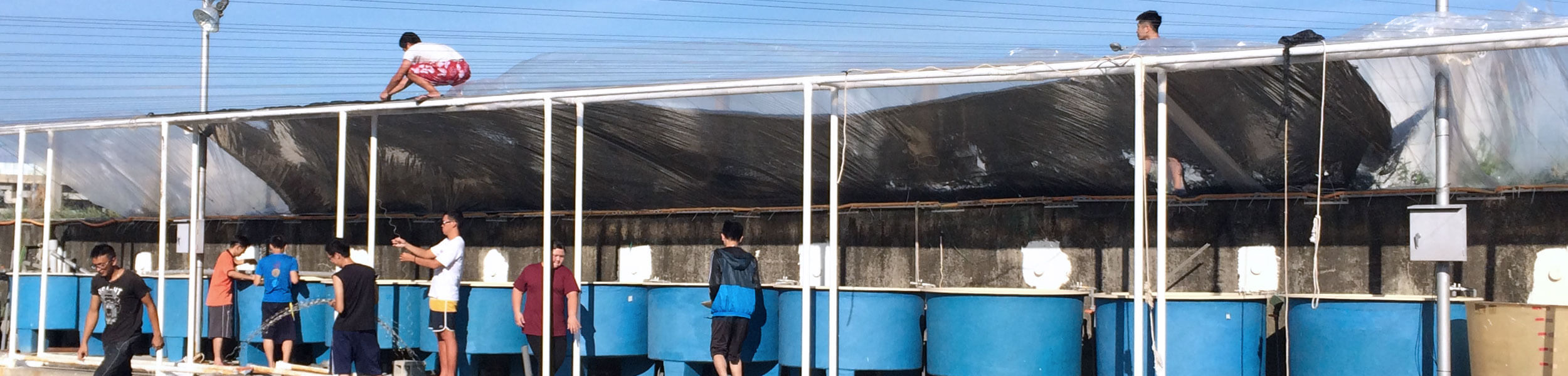 國立高雄科技大學水產養殖系暨研究所-相關網站